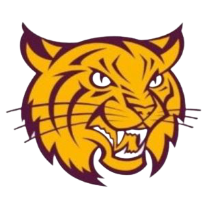 Wildcats Logo